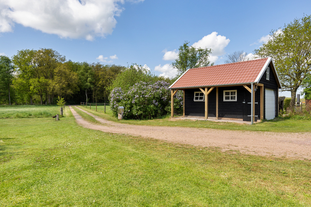 Foto 66 1000w